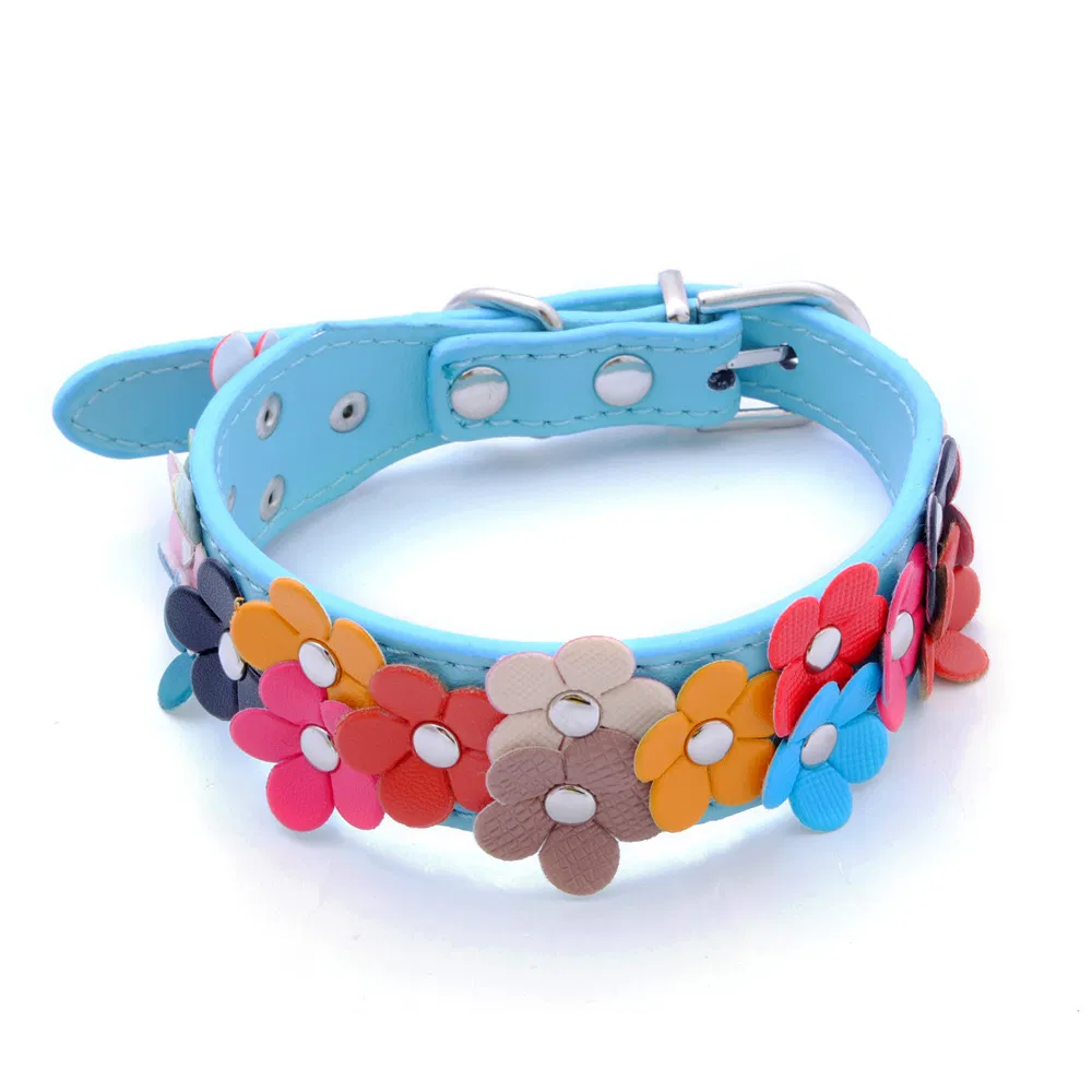 Pet Collar Detail 2