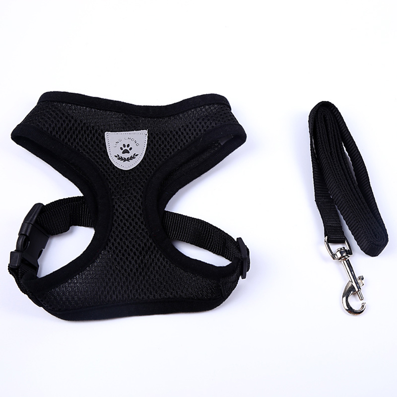 Adjustable No-Pull Pet Harness and Leash Combo for Small Dogs