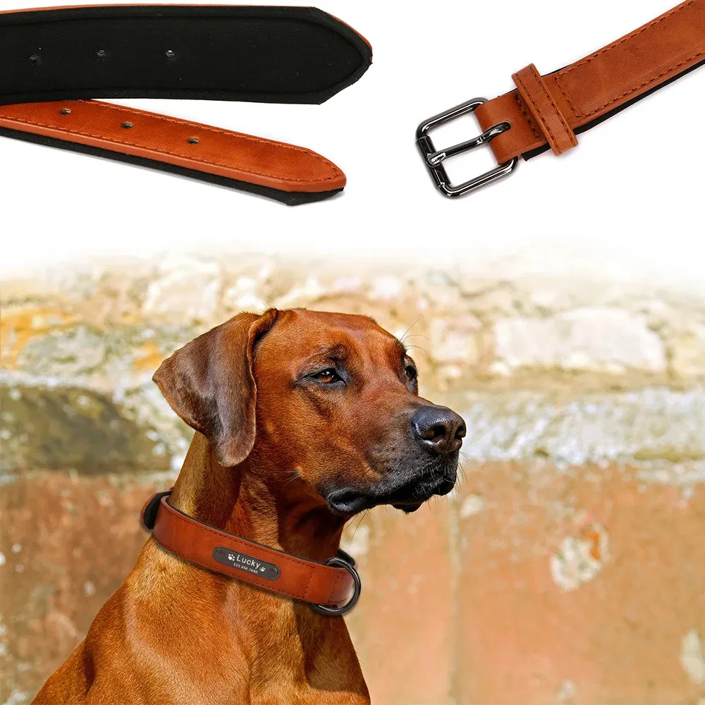 Leather Dog Collar