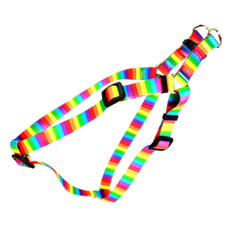Customized Rainbow Pet Leash Dog Harness