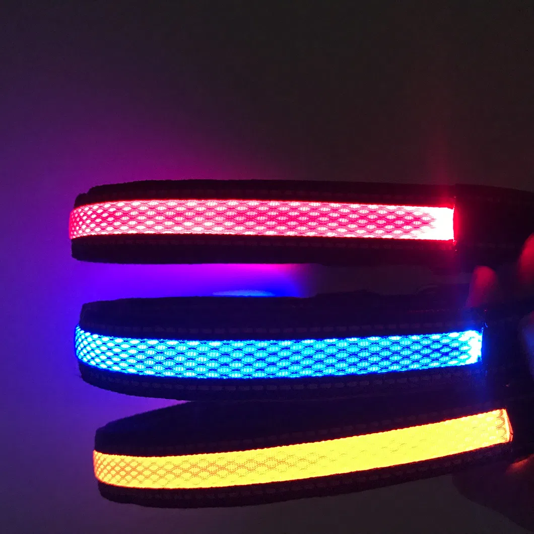 Adjustable Pet Collar