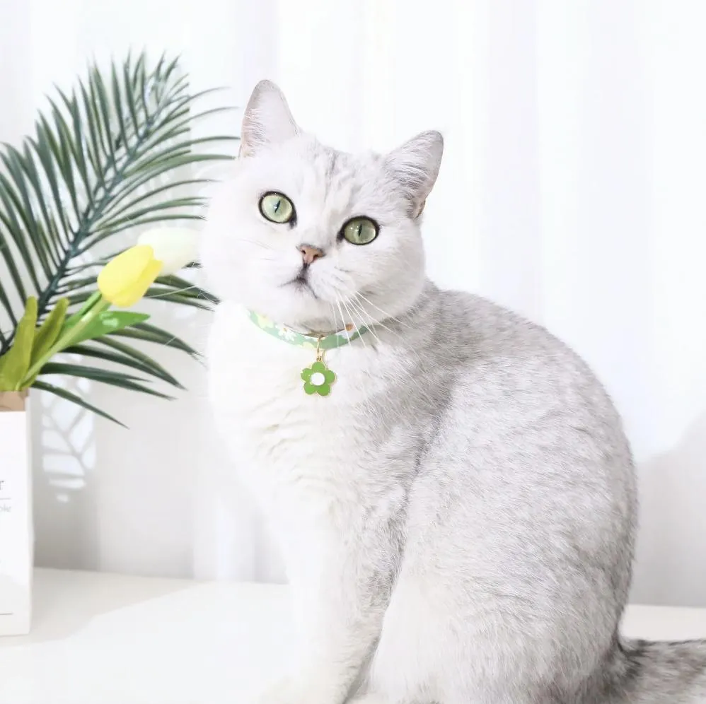 Red Floral Cat Collar