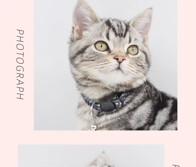 Cat Collar Pattern 10