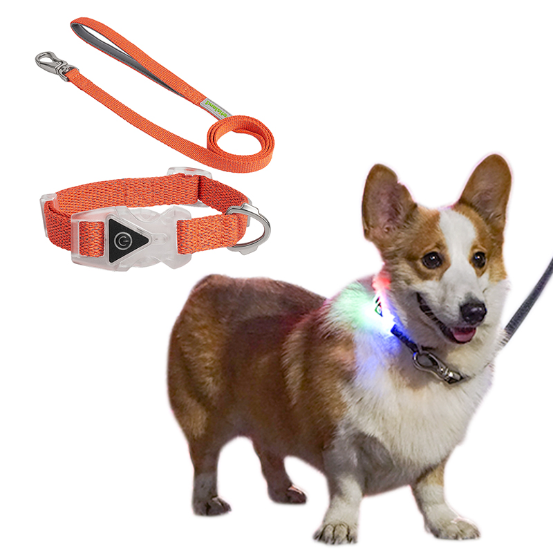 Reflective Light Night De Luz PARA Mascotas Perro Con Perros Collares Perroslar LED Dog Collar Glow in The Dark Sample Customization
