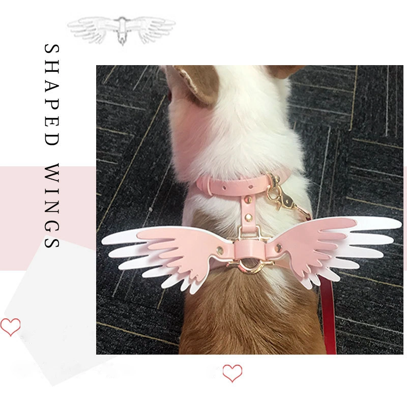 Ea080 Personalized Designer Custom Charm and Leash for Chain Rope Collars Manufacturer Luxury PU Leather Pet Dog Collar