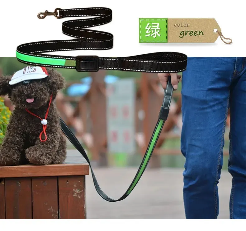Pet Glow Collar