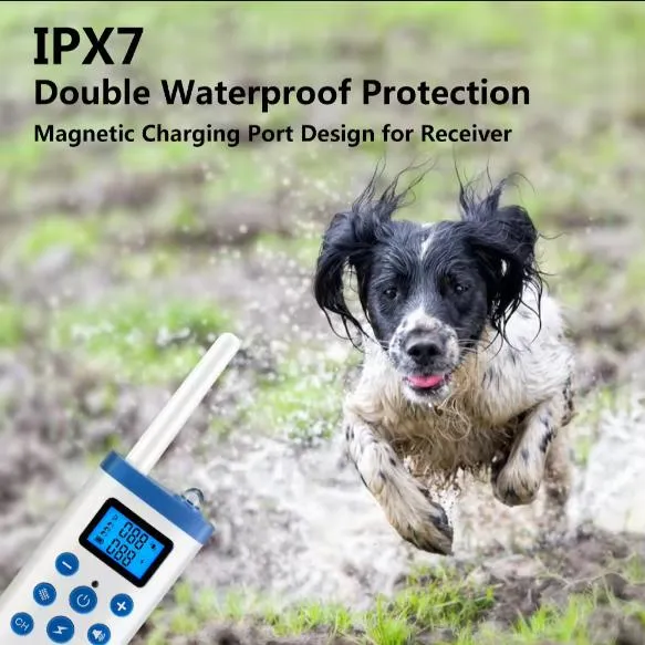 Pet Trainer Detail 6