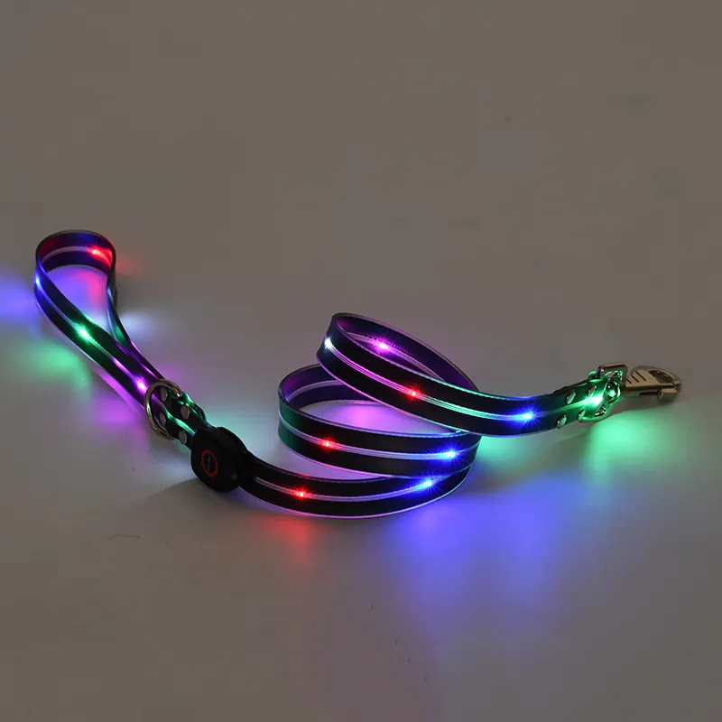 LED Dog Collar 2