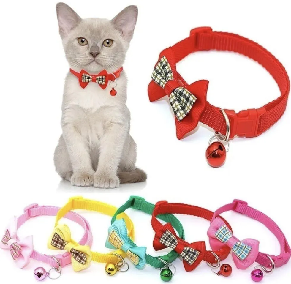 Cat Collar Display 1