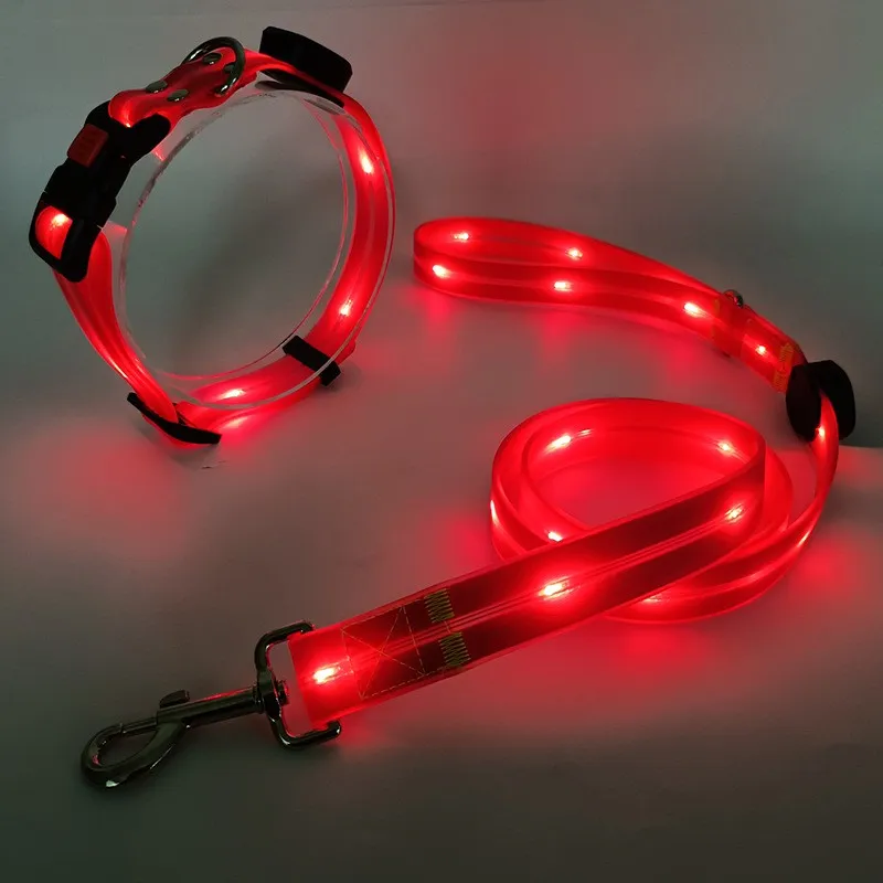 LED Dog Collar Night View