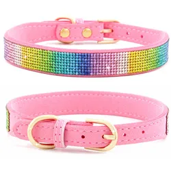 Pet Collar Close up