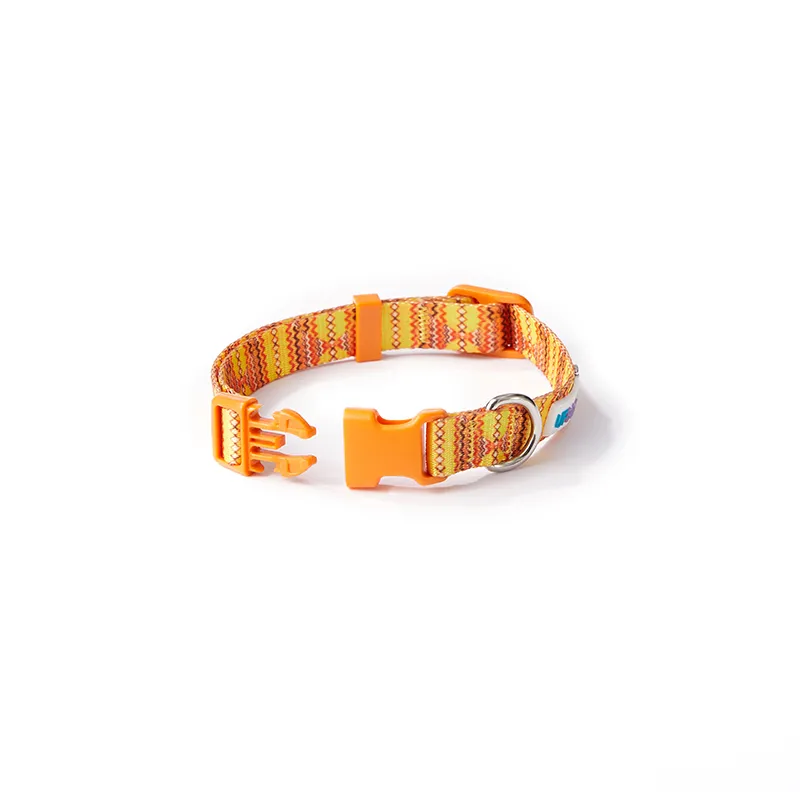 Pet Collar Color 1