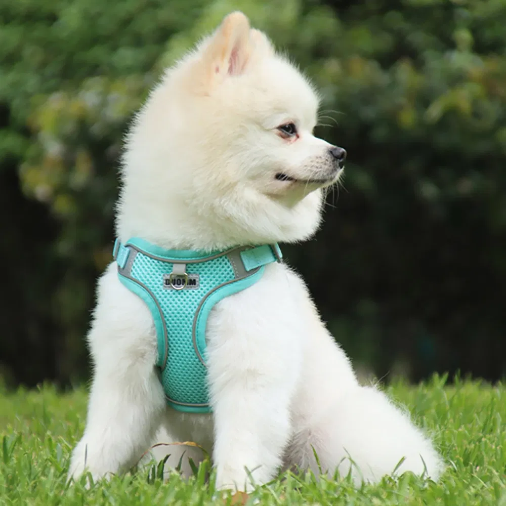 Manufacturer Tactical Luxury Pet Harness Hands Free Dog Leash Nylon Strong Wear-Resistant No Pull Dog Harness