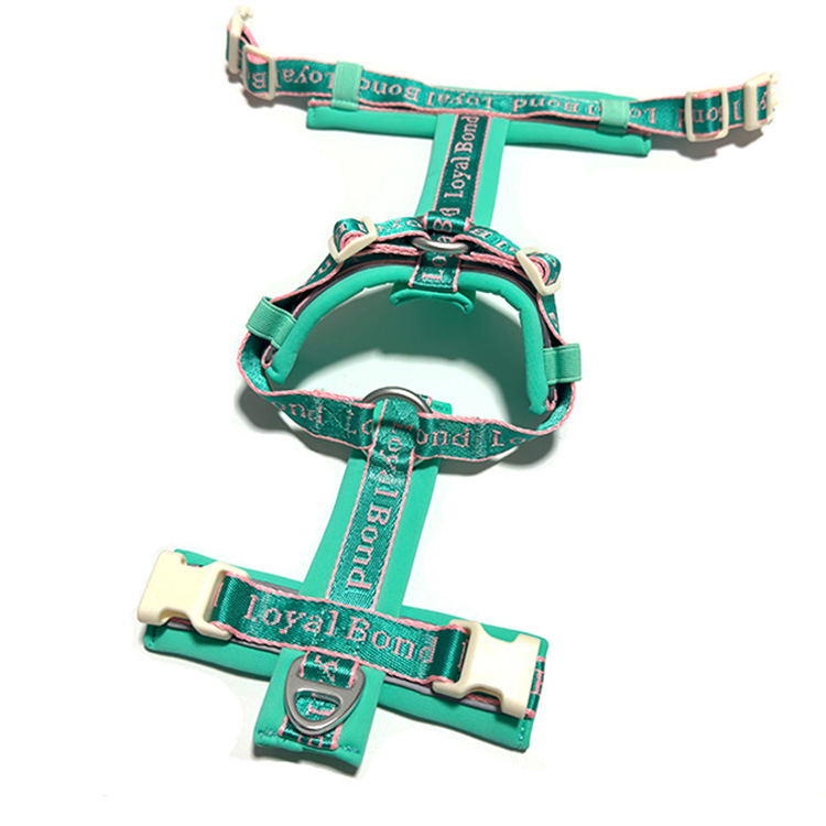 New Design Durable Lightweight Adjustable Comfort Nylon Jacquard Ribbon Y Shaped Luxury No Pull Pet Dog Harness with Soft Padding