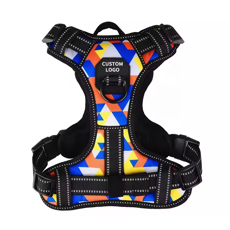 Reflective Chic - Style Minimalist - Design Vintage - Look Pet Leash Set