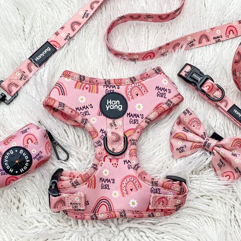 OEM Manufacturers Personalized Soft Padded Adjustable Designer Wholesale Pet Dog Harness and Leash Set Custom Dog Harness