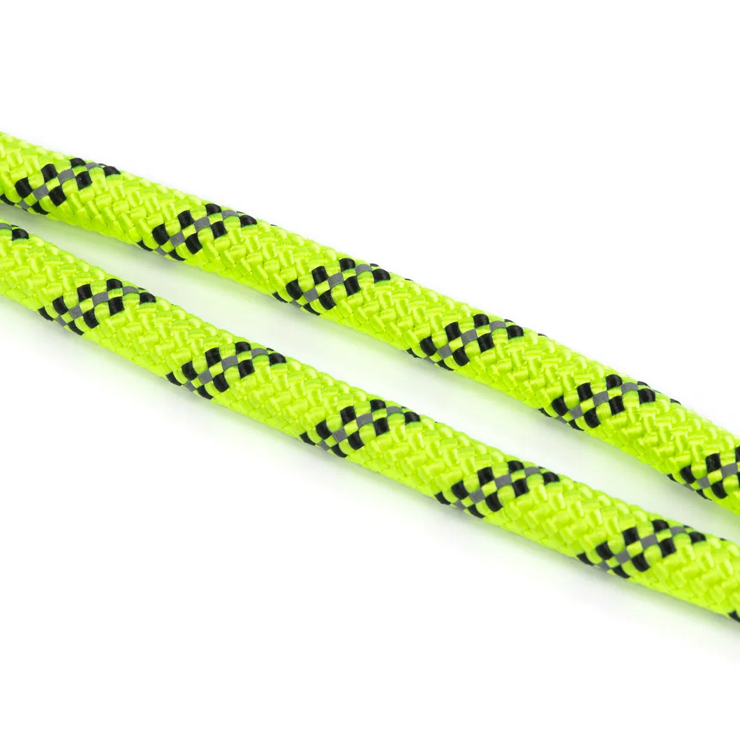 Tactical Dog Collar Detail 6