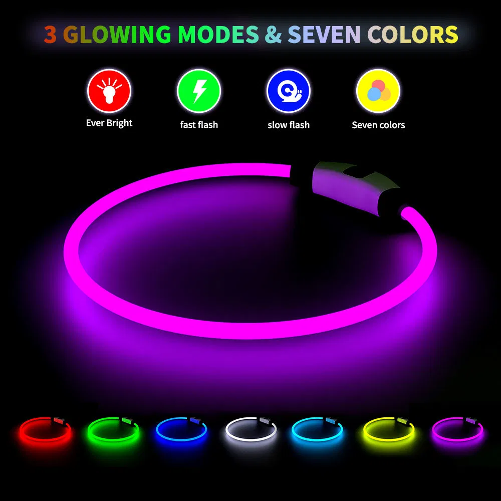 Night Anti-Lost LED Light up Dog Collar TPU Material Efficient Light Transmission Rechargeable Waterproof Pet Cat Dog Collar