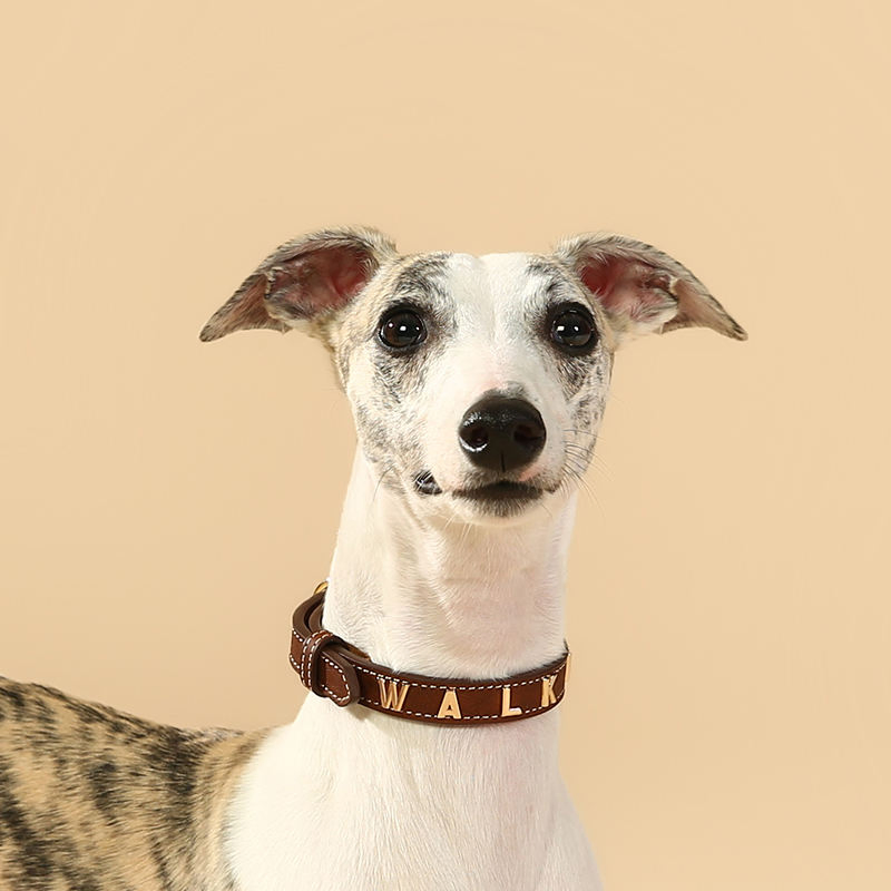 Luxury PU Leather Pet Collar Custom Colors Softly Genuine Leather Dog Collar