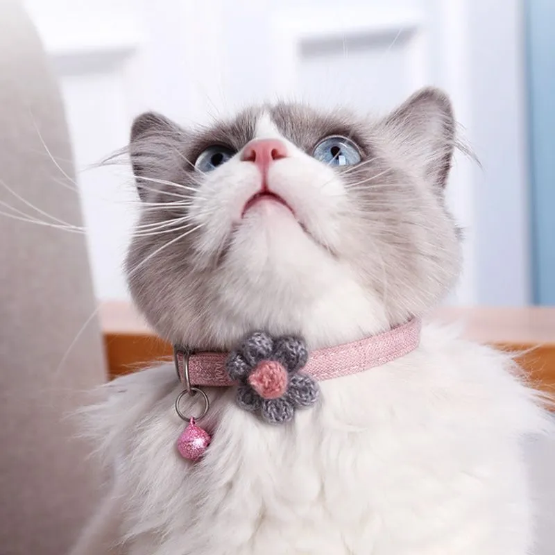 Customized Pet Collar