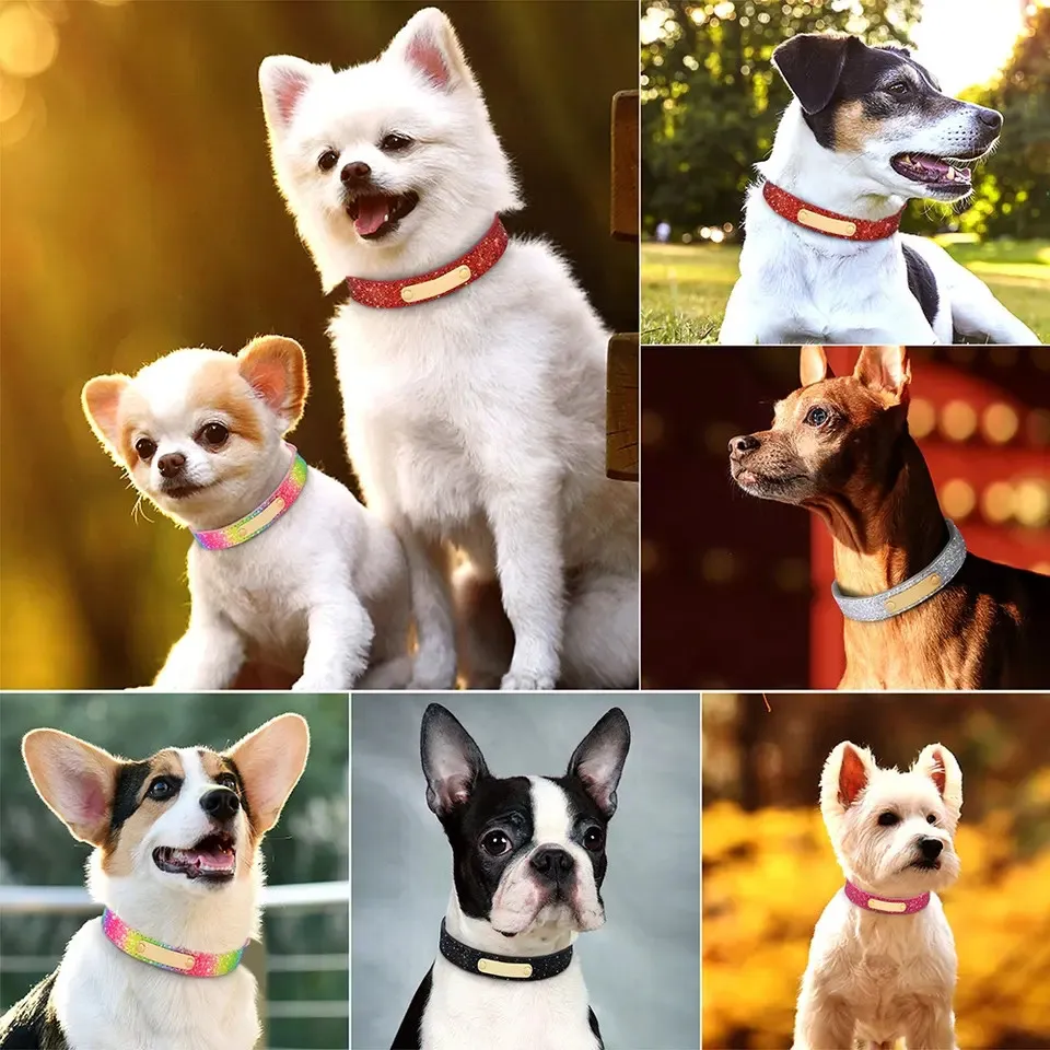 Glitter Dog Collar 6