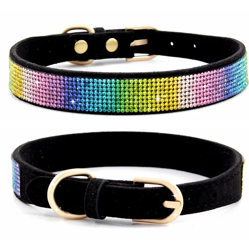 Pet Collar Showcase