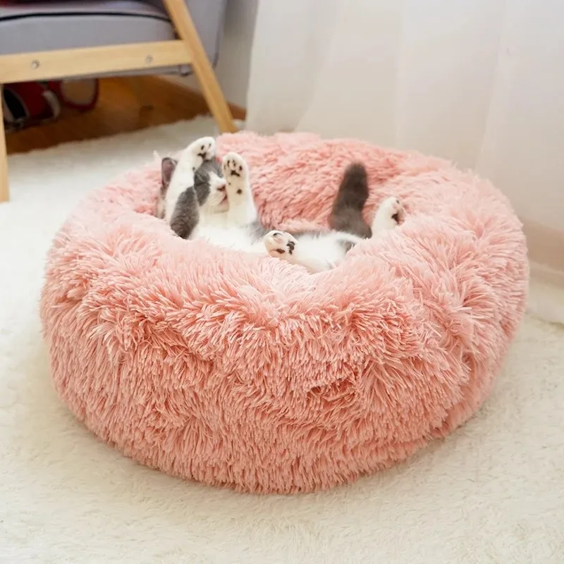 Pet Bed 5