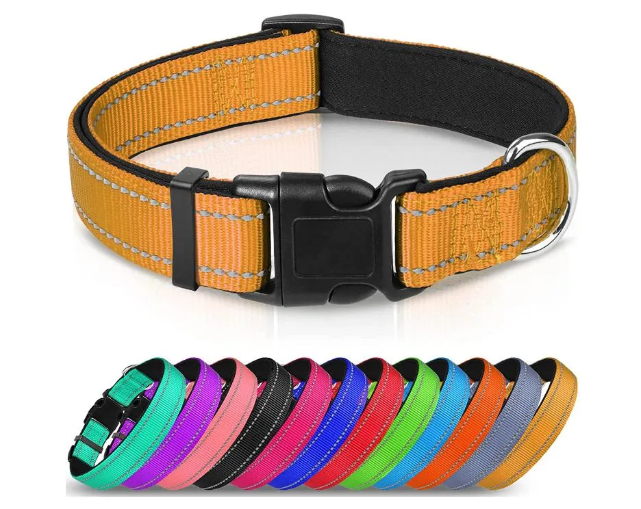 Reflective Dog Collar 2