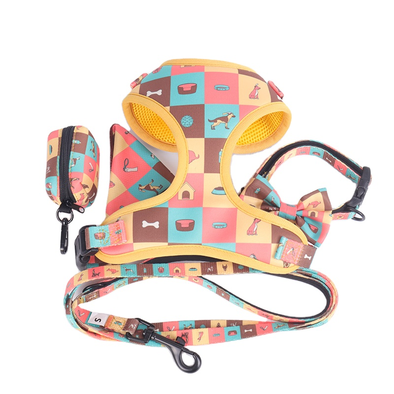 2021 Pet Dog Harness Set Padded Soft Puppy Collar Leash and Harness/Pet Toy