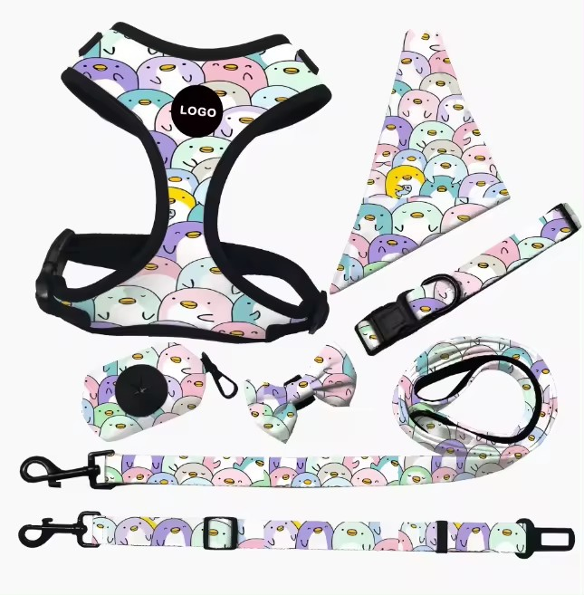 Custom Logo Dog Harness Leash Collar Dye Sublimation Printing Pet Lead Harness