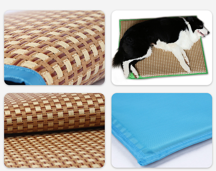 Dog Cat Summer Bed Training Mat Is Waterproof for Pet Carrier