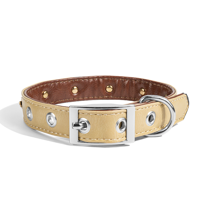 Leather Nylon Webbing Charms Dog Collar