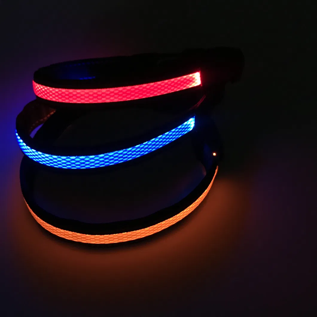 Glow in the dark collar