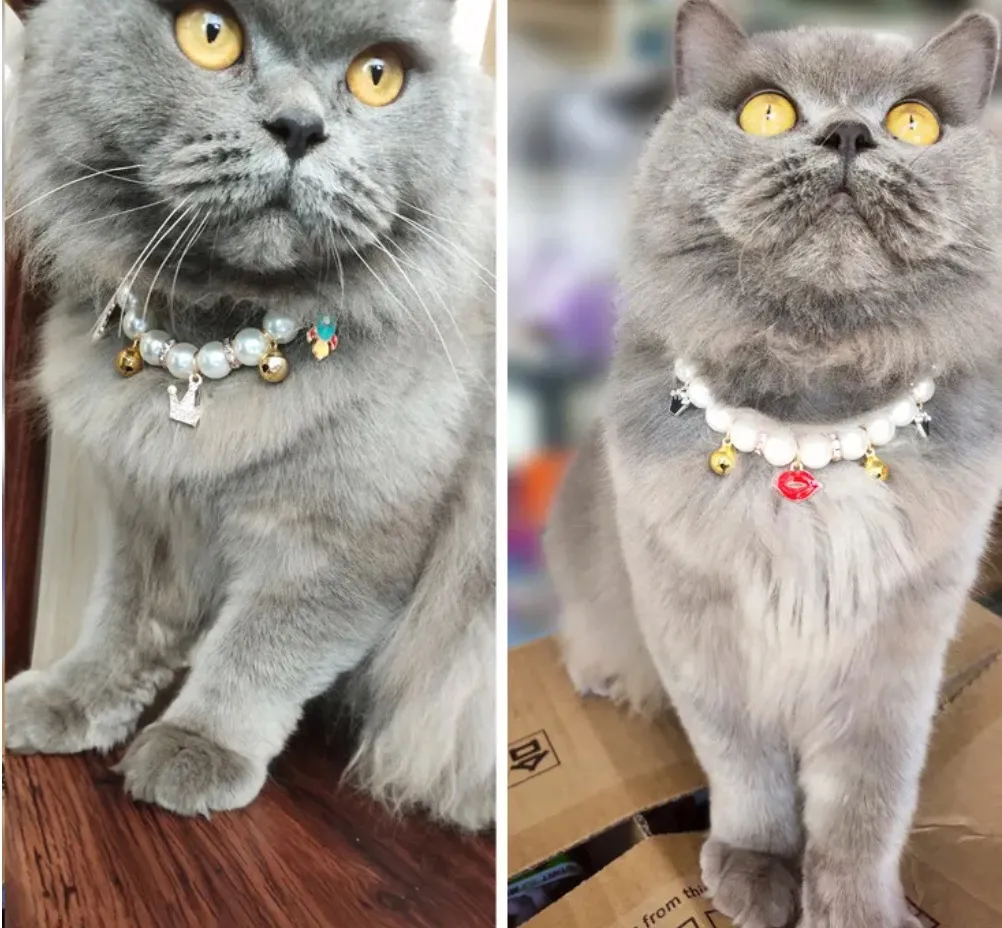 Jeweled Pet Collar
