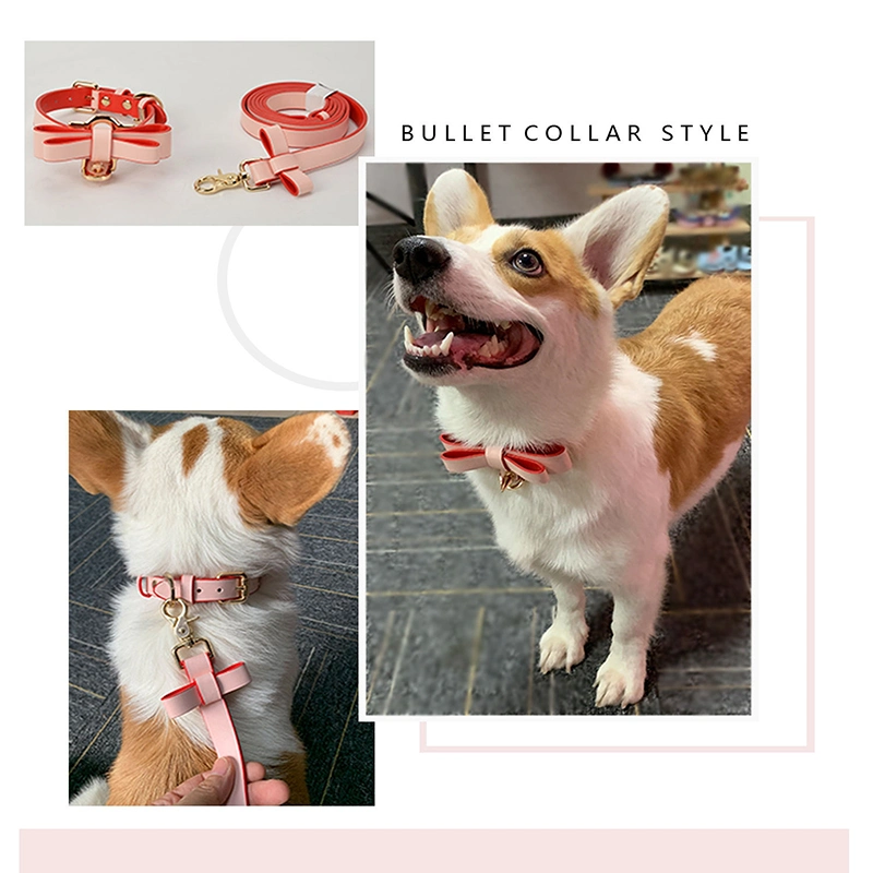Ea080 Personalized Designer Custom Charm and Leash for Chain Rope Collars Manufacturer Luxury PU Leather Pet Dog Collar