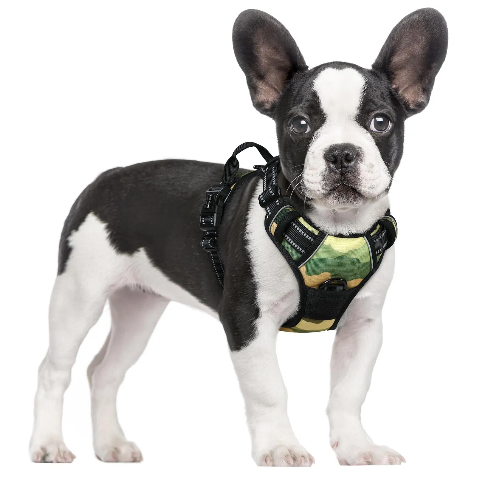 Dog Harness No Pull with 2 Leash Clips, Adjustable Soft Padded, Reflective Oxford No Choke Pet Vest with Easy Control Handle for Large Dogs