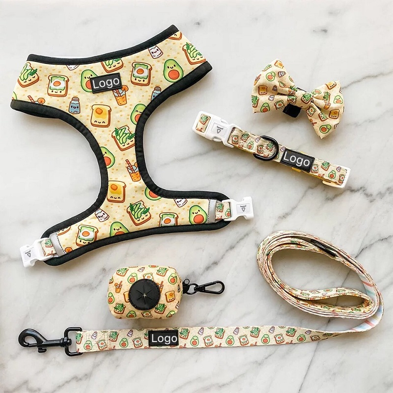 2024 Pet Haresses Set Neoprene Personalized Luxury Designer Reversible Adjustable Custom Dog Harness with Dog Collar Leash Poop Bag Holder