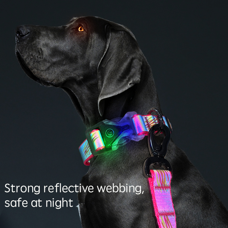 Multicolor Fashion Adjustable Luminous Reflective Safety LED Pet Collar Dog Collar