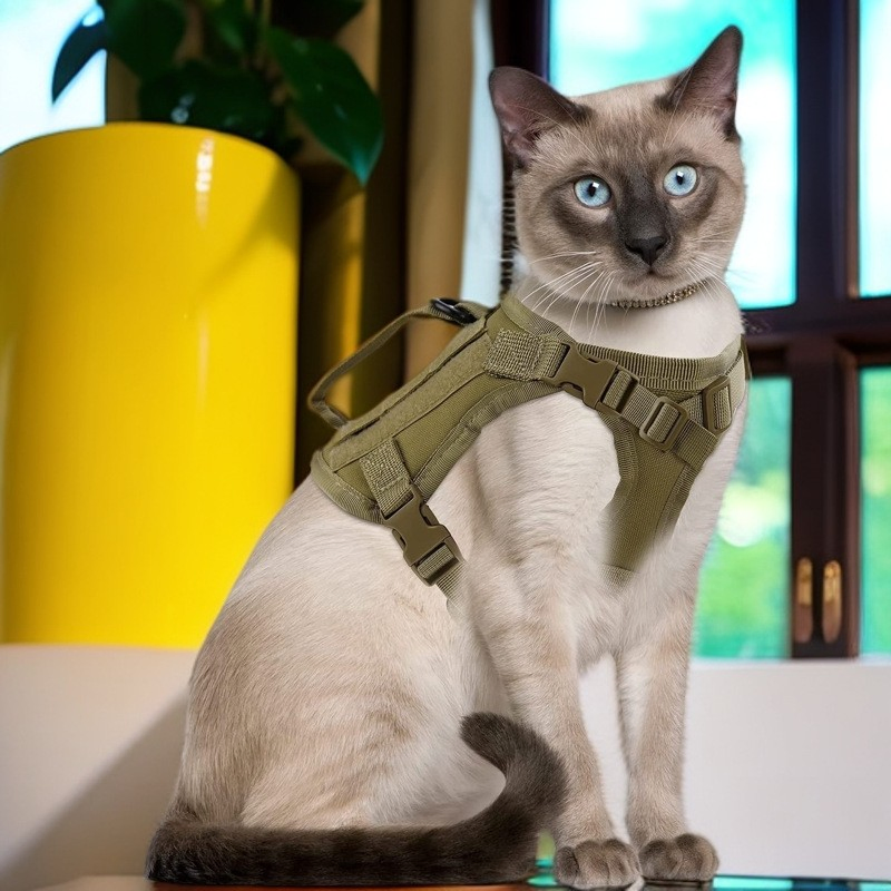 Comfortable Pet Chest and Back Leash Harness for Dogs