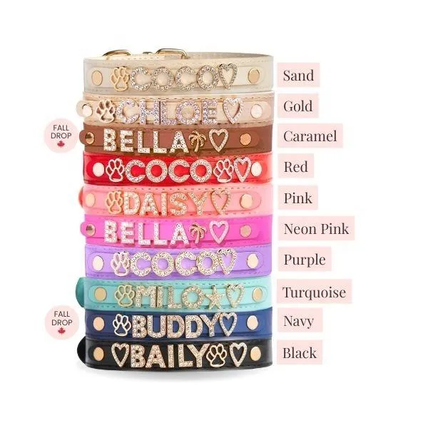 Pet Collar Display 8