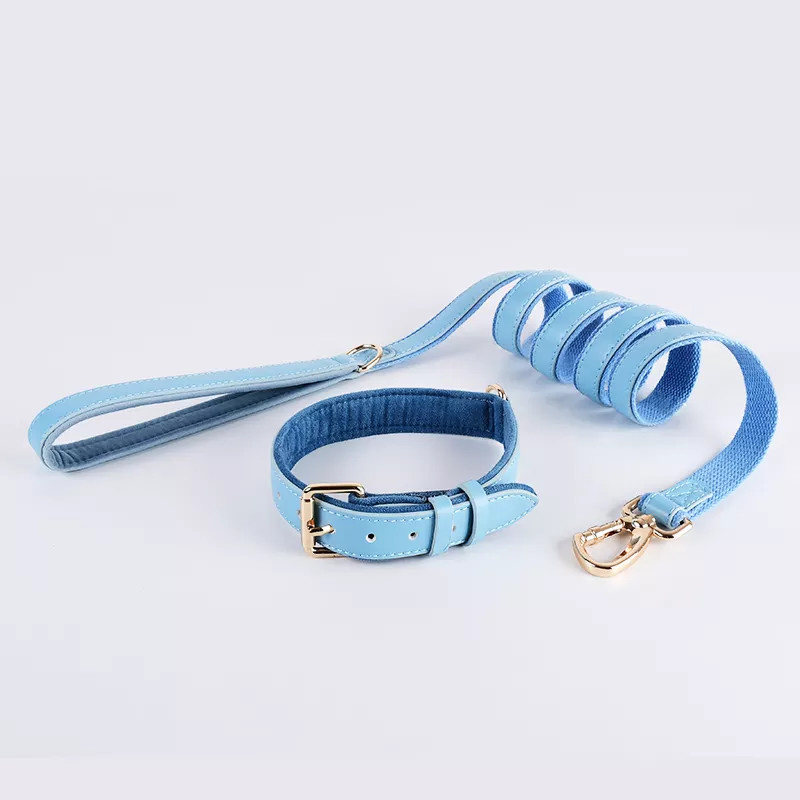 New Designer Personalized Eco China Manufacturer Factory Ribbon Lanyards PU Vegan Leather Pet Dog Collar Leash