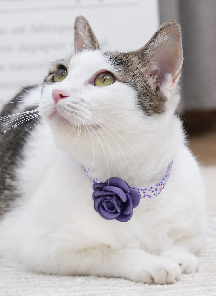 Cat Collars, Cute Flowers, Puppy Neck Rings, Pet Necklace Accessories, Adjustable Kitten and Small Dog Pet Supplies
