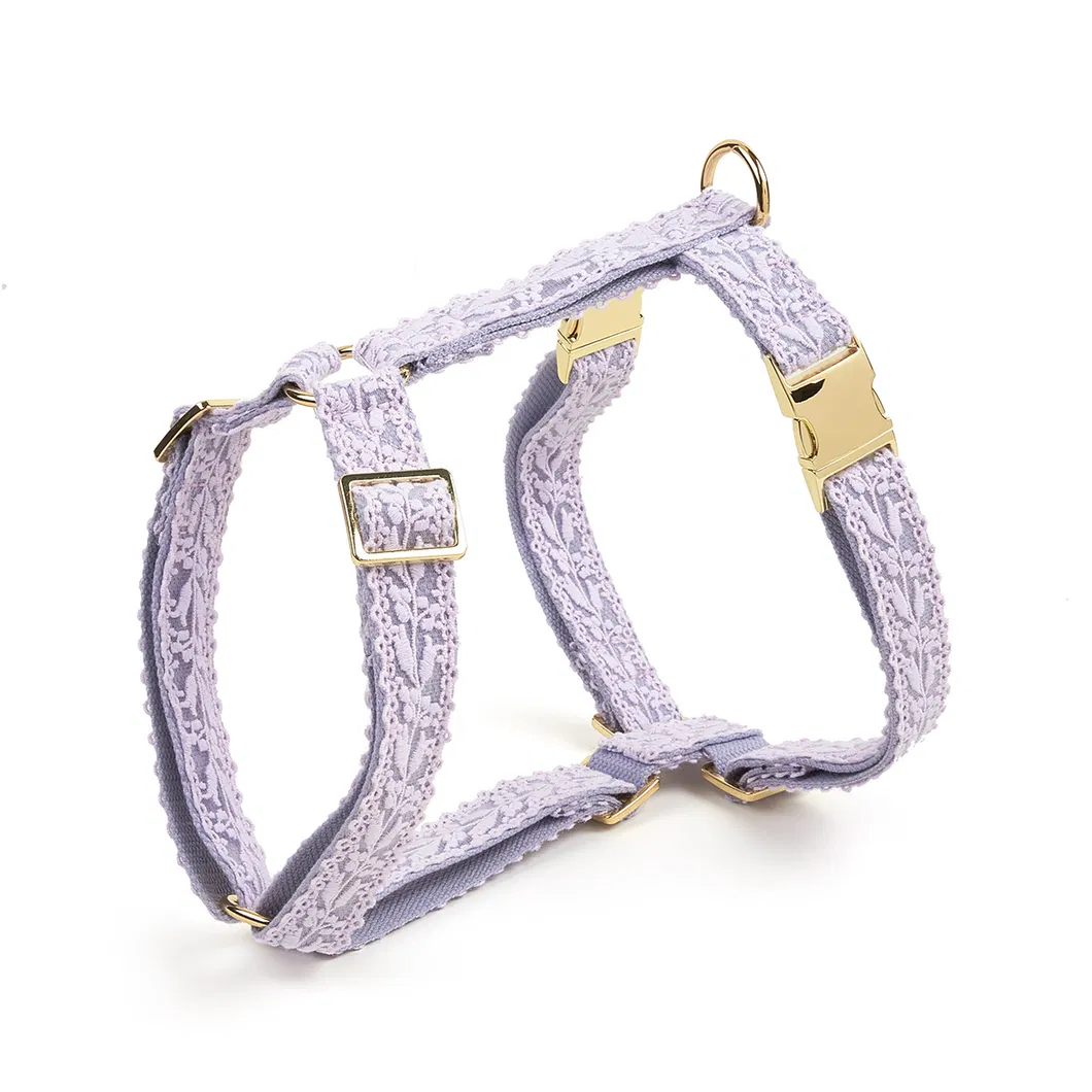 Lace Dog Collar 11