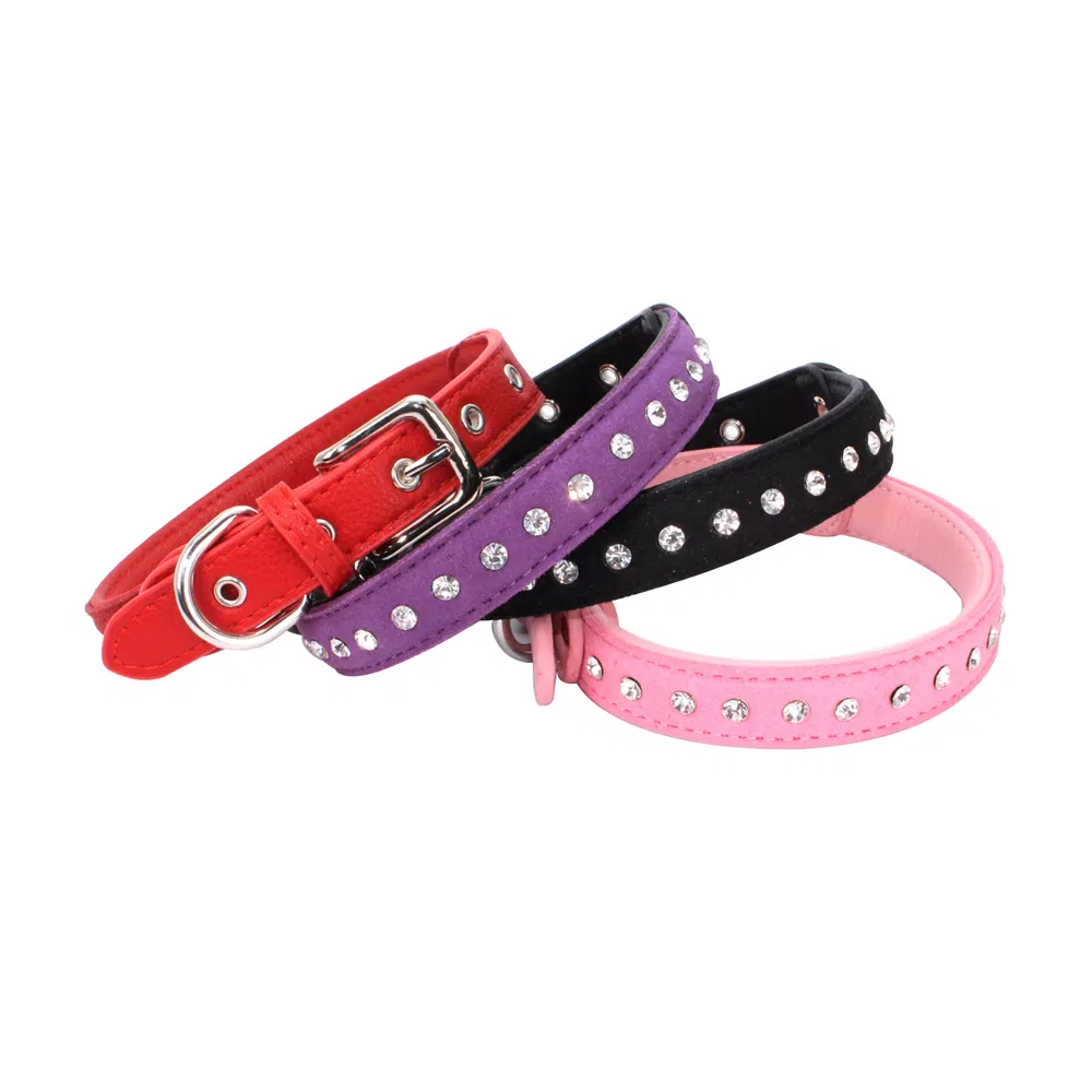 Dog Collar View 10