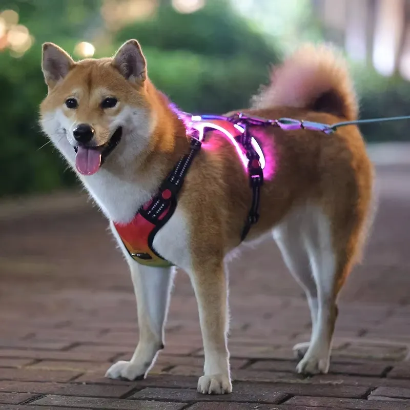 LED Dog Harness Detail 2