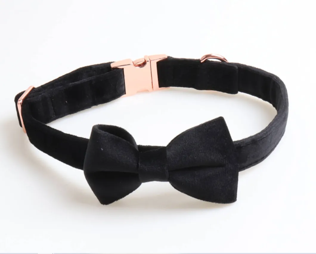 Nylon Training Collar