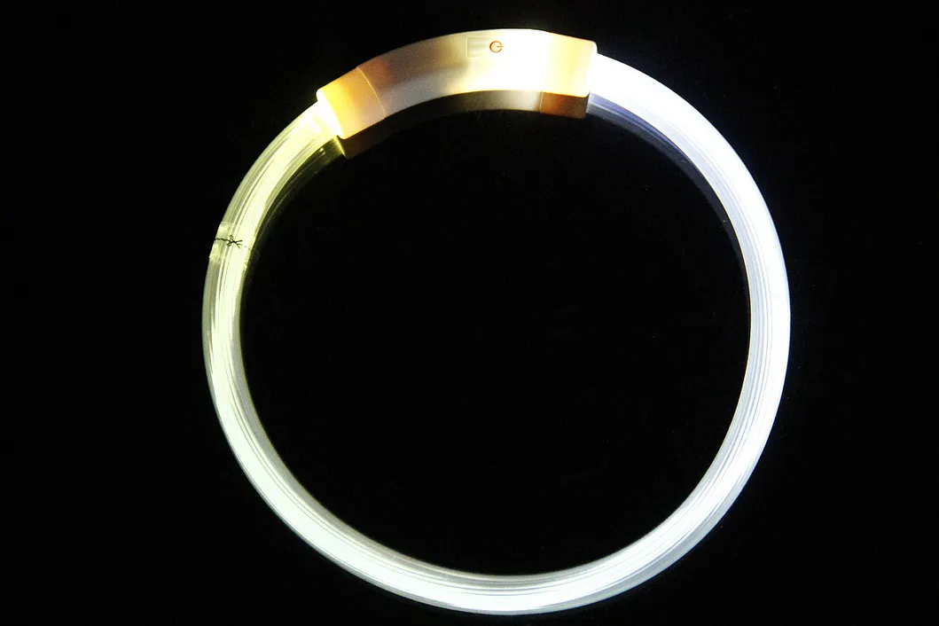 LED Luminous Collar 4