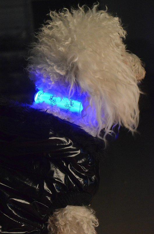 USB Rechargeable Safety Cute Cartoon LED Night Glowing Waterproof Dog Collar with Safety Break