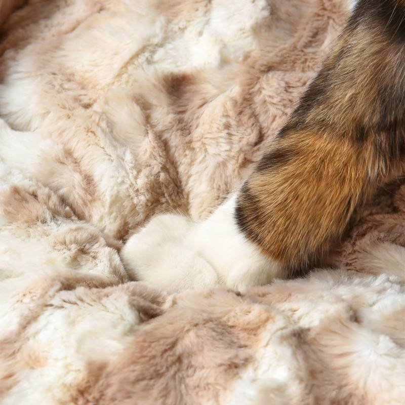 Removable Washable Luxury Pet Dog Cat Bed Sleeping Bed Pet Sofa