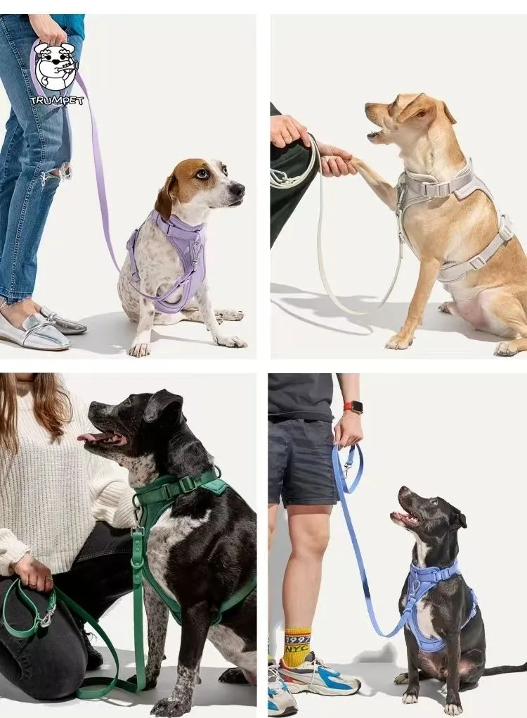 Pet Training Gear